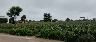 Nurpur Bedi, Punjab 140117, India preview 2