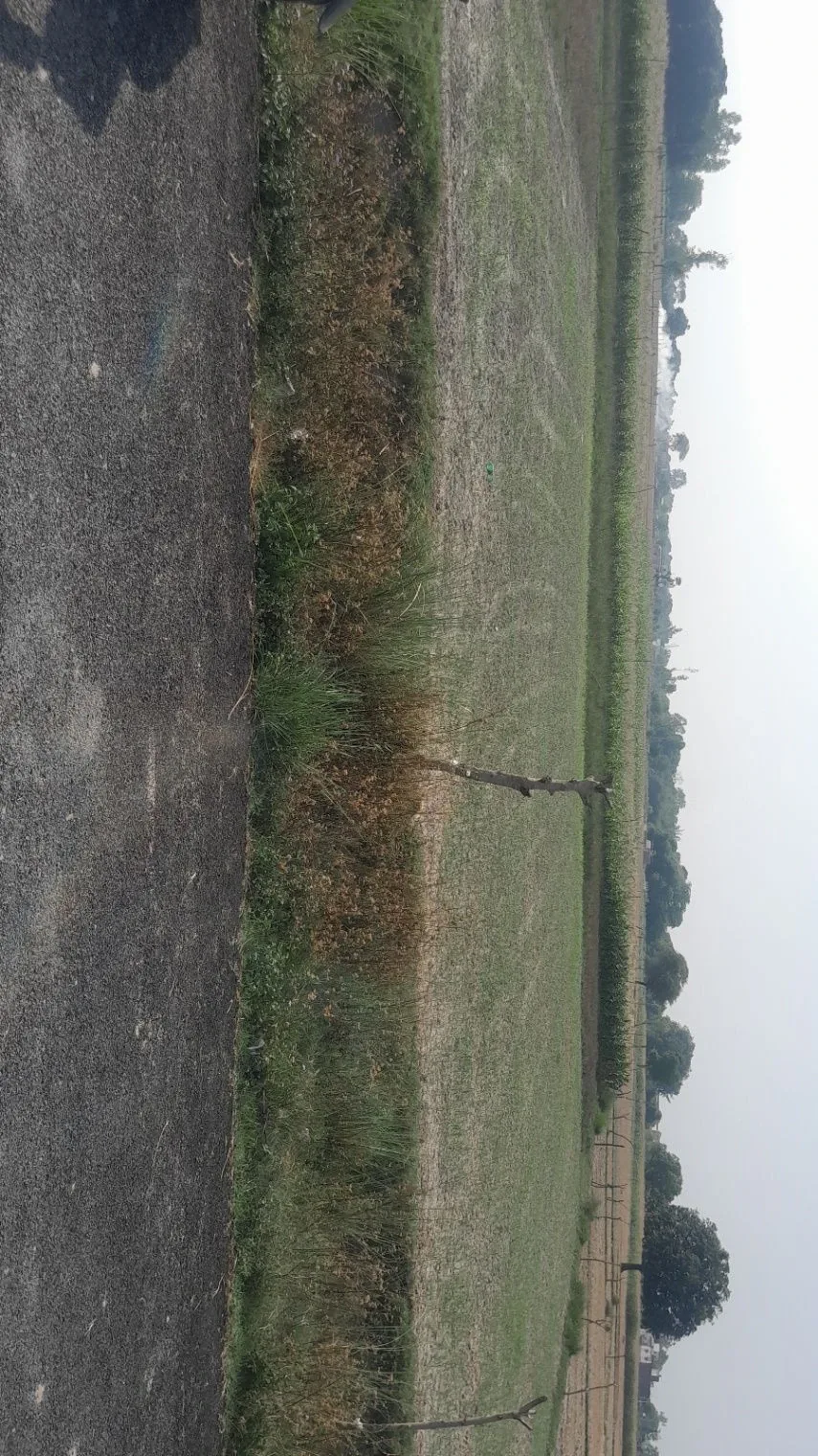 P5F5+58Q, Masaudha, Malik Pur, Dabha Semar, Uttar Pradesh 224133, India