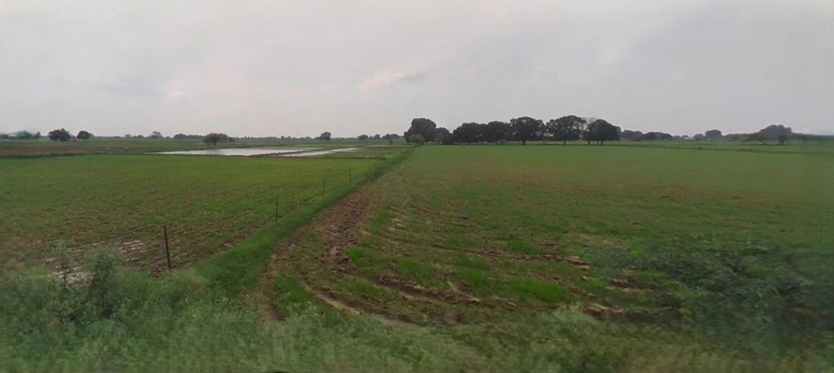 Laksar, Uttarakhand 247663, India