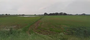 Laksar, Uttarakhand 247663, India preview 2