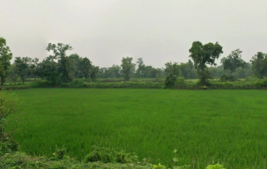 Kachhar, Chhattisgarh 495009, India