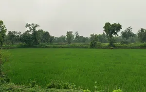 Kachhar, Chhattisgarh 495009, India preview 2