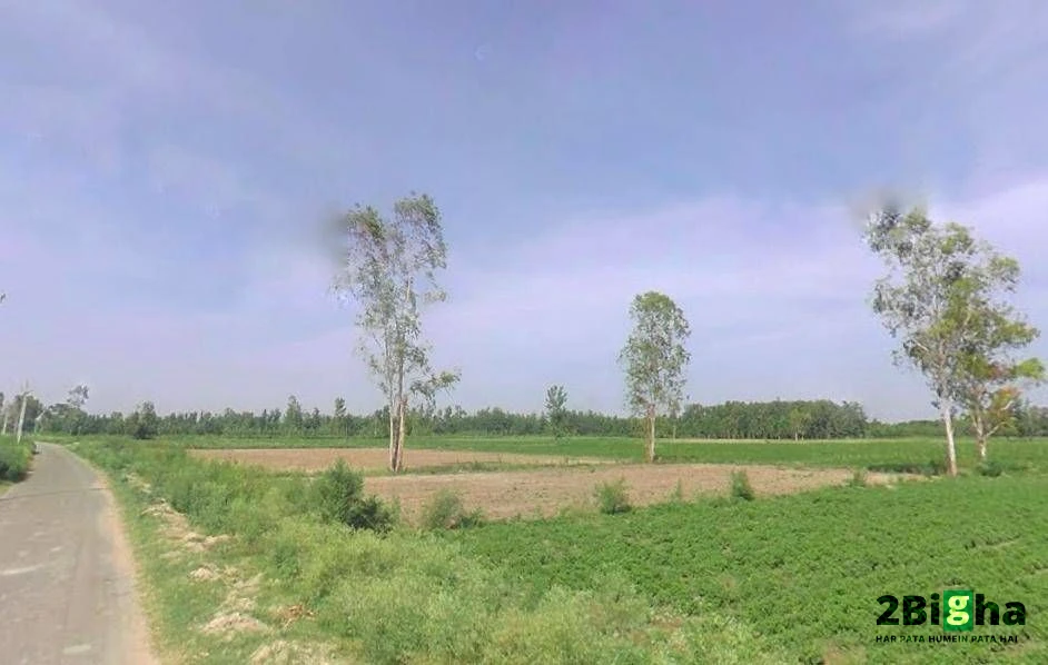 Q2XF+9CC, Shahabad Gate Rd, Mohsin -E- Azam Colony, Civil Lines, Rampur, Uttar Pradesh 244901, India