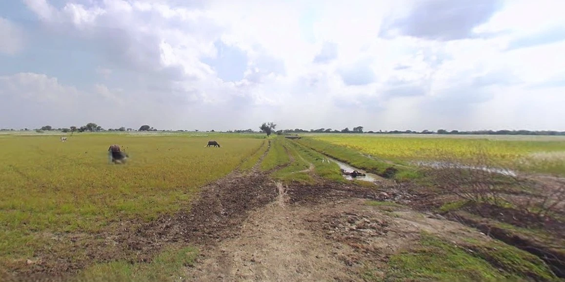 Bijnor, Uttar Pradesh 246701, India