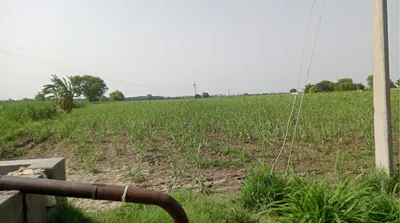 7659+6V Dhamaniya, Bhopal, Madhya Pradesh, India preview 3