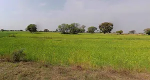 Chitrakoot, Madhya Pradesh, India preview 3