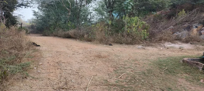 H7JQ+CRC, Ghaata, Rajasthan 321022, India preview 4