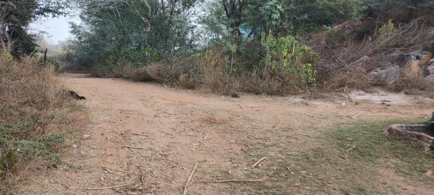 H7JQ+CRC, Ghaata, Rajasthan 321022, India