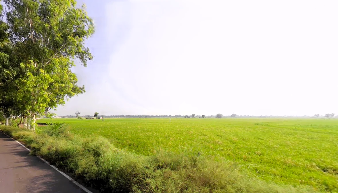 Mallekan, Haryana 125055, India