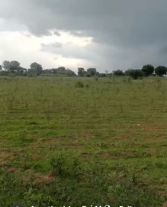 VVQJ+MQP, Kannauj, Jainpura, Uttar Pradesh 209734, India - Photo 3
