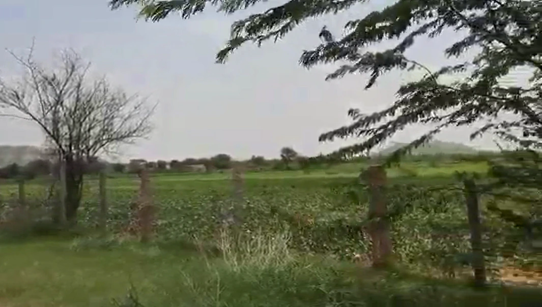 PGPJ+RJ Behroj, Khairthal-Tijara, Rajasthan, India