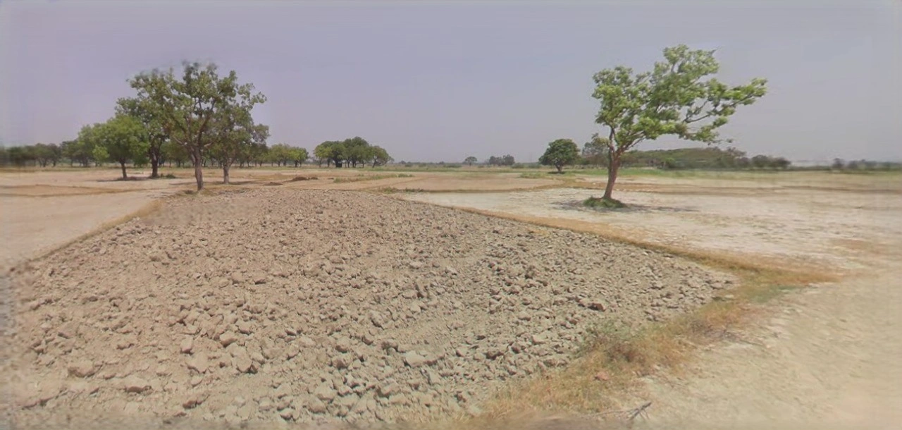 Sri Ganganagar, Rajasthan, India