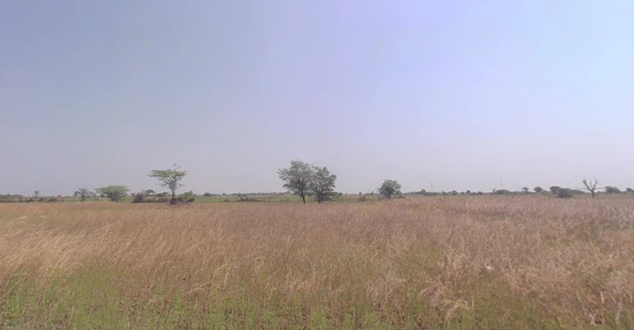 Chaksu, Rajasthan 303901, India