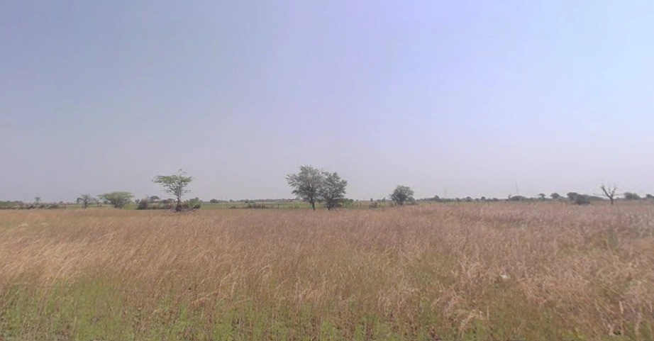 Chaksu, Rajasthan 303901, India