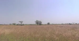 Chaksu, Rajasthan 303901, India preview 3