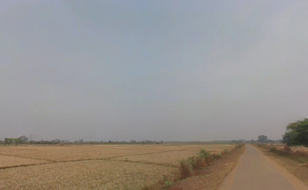Pachpedi, Chhattisgarh 495551, India