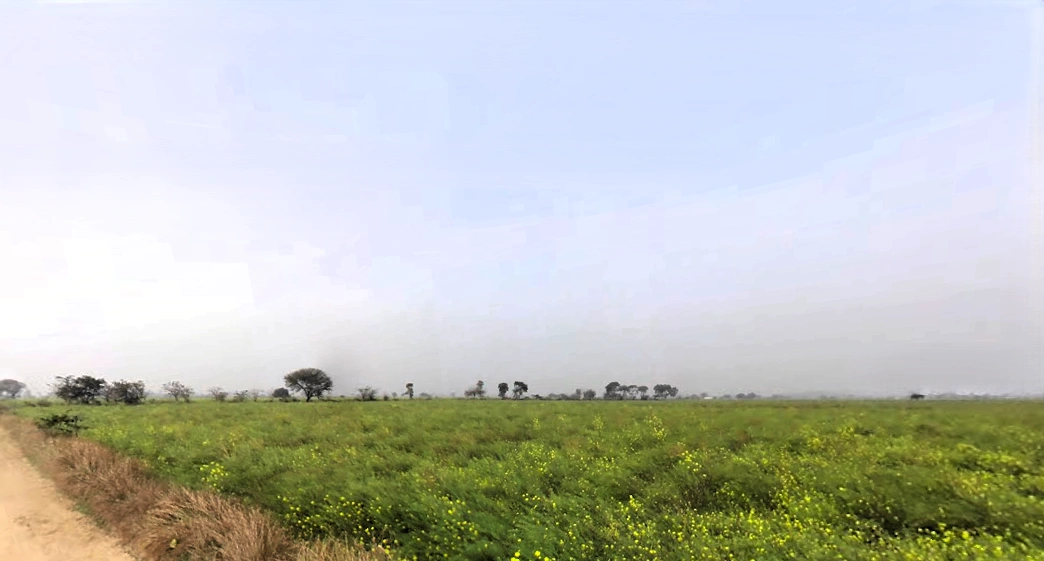 Ugalan, Haryana 125038, India