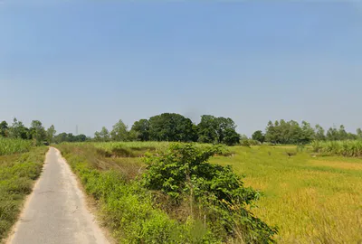 Sohawal, Uttar Pradesh, India preview 2