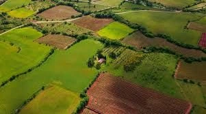 land
