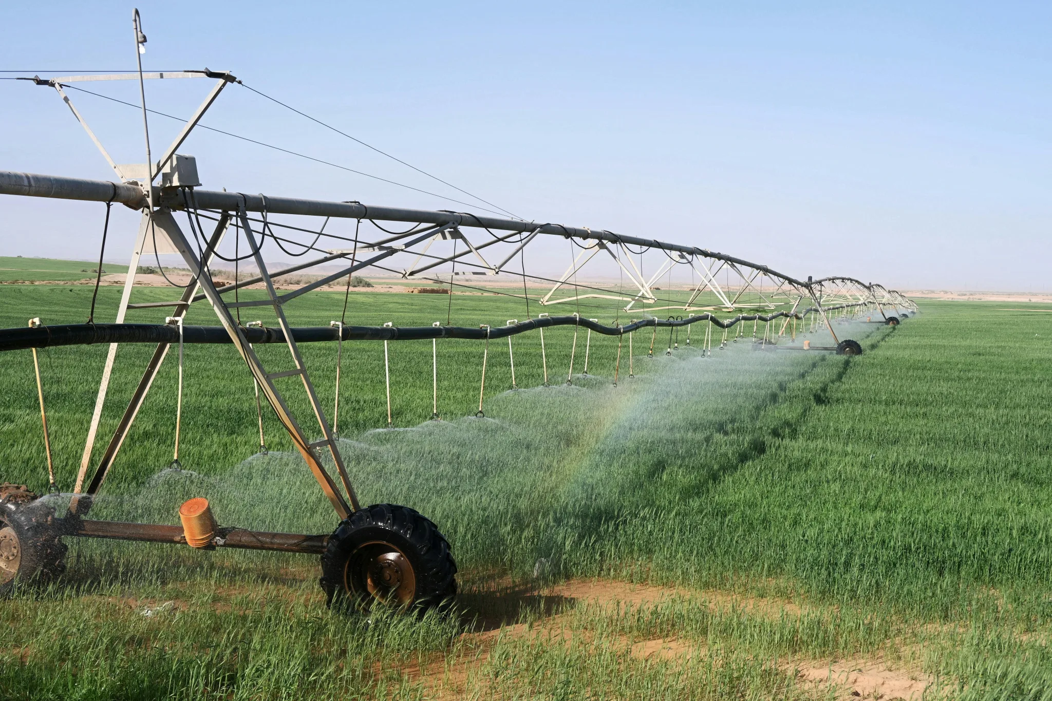 Why Investing in Agricultural Land is a Smart Decision
