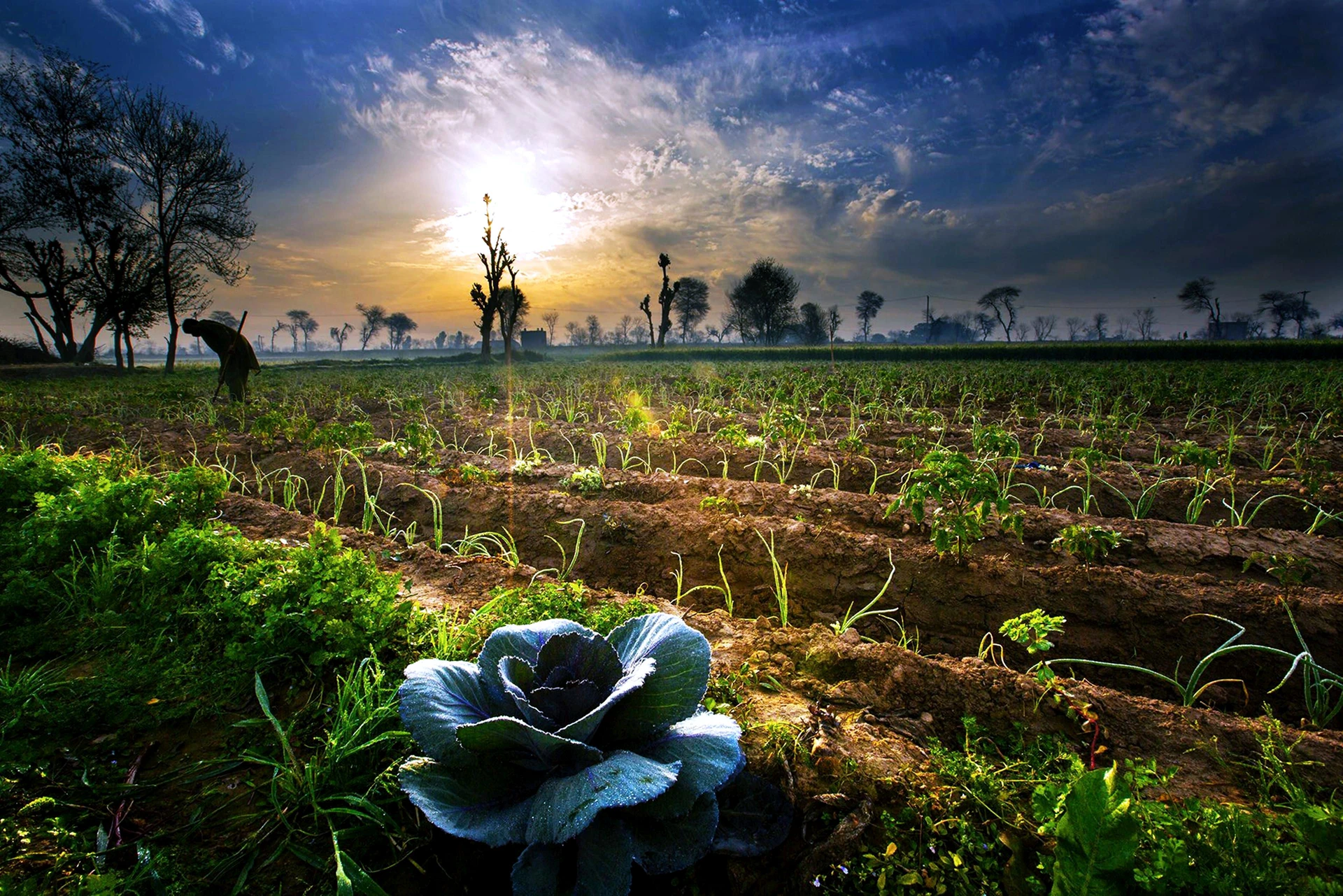 Bikaner, Rajasthan, India