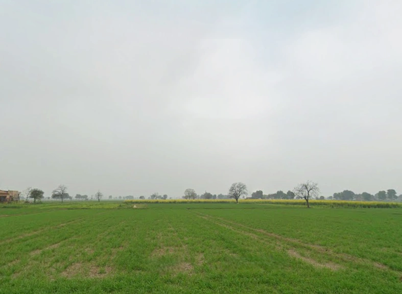 Rampur, Uttar Pradesh, India