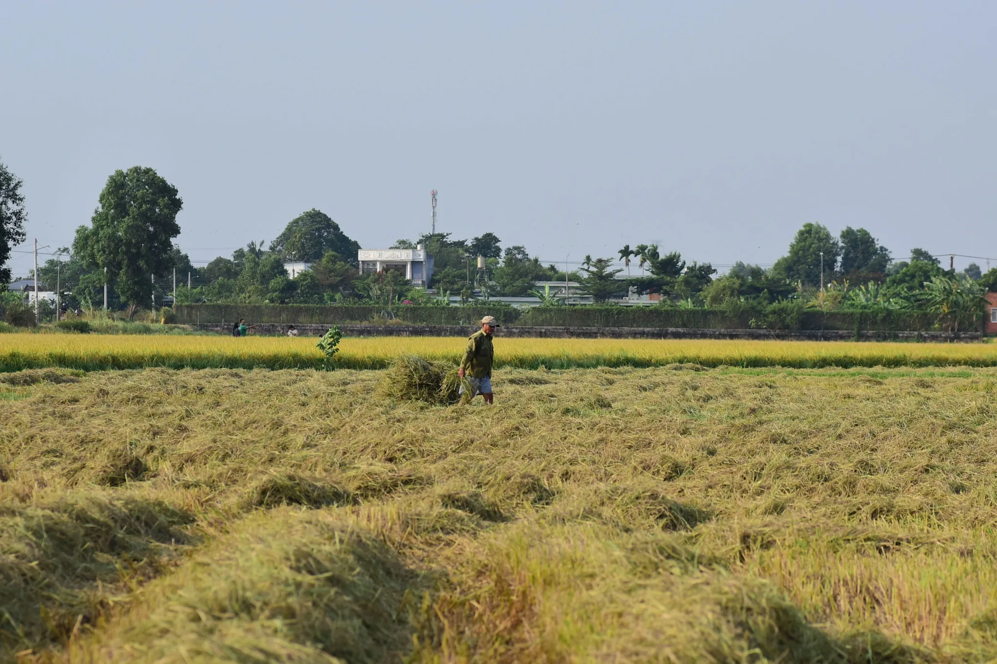 Dehradun, Uttarakhand, India