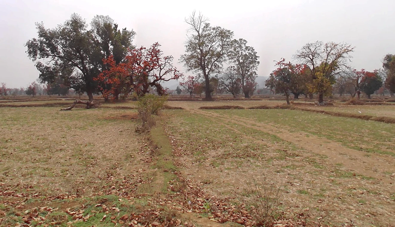 Palari, Chhattisgarh 493228, India