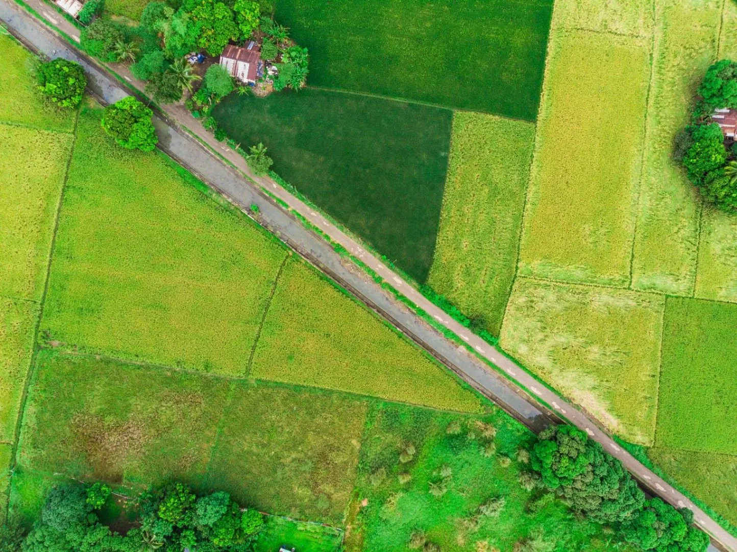 Bibipur, Haryana 126102, India