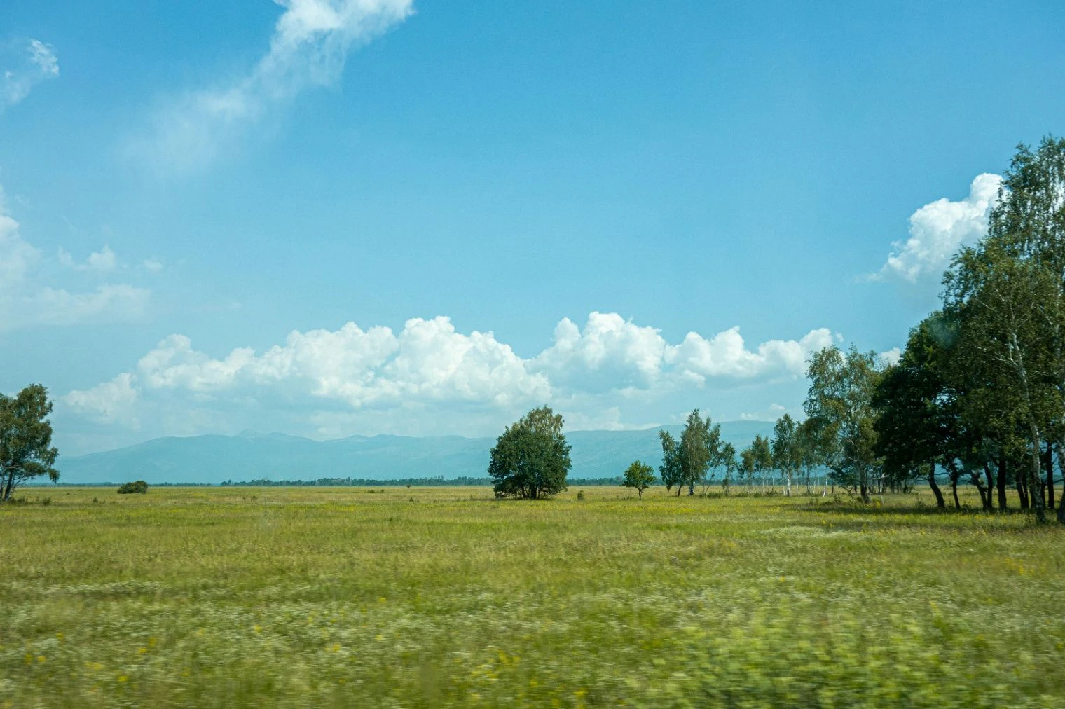Bareilly, Uttar Pradesh 243001, India