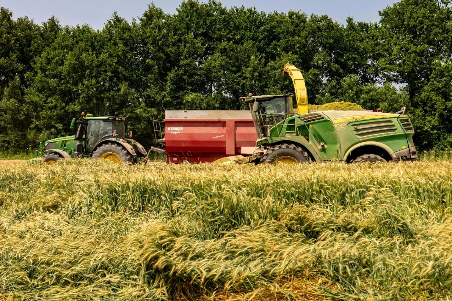 Rohtak, Haryana, India