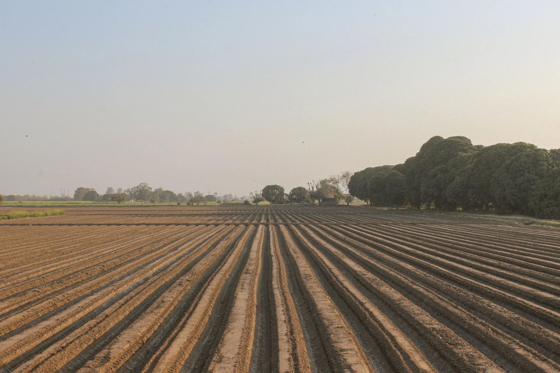 Gagwana, Rajasthan 305023, India