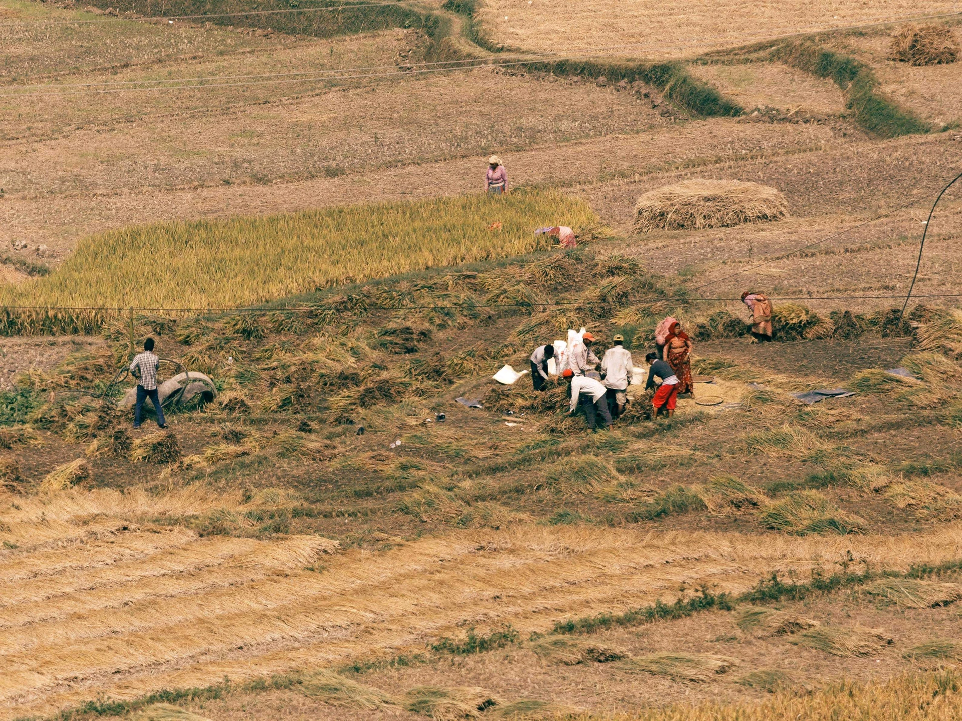 Unnao, Uttar Pradesh, India