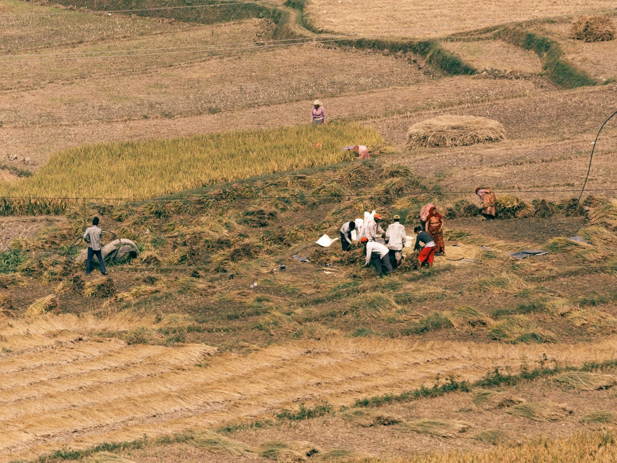 Unnao, Uttar Pradesh, India