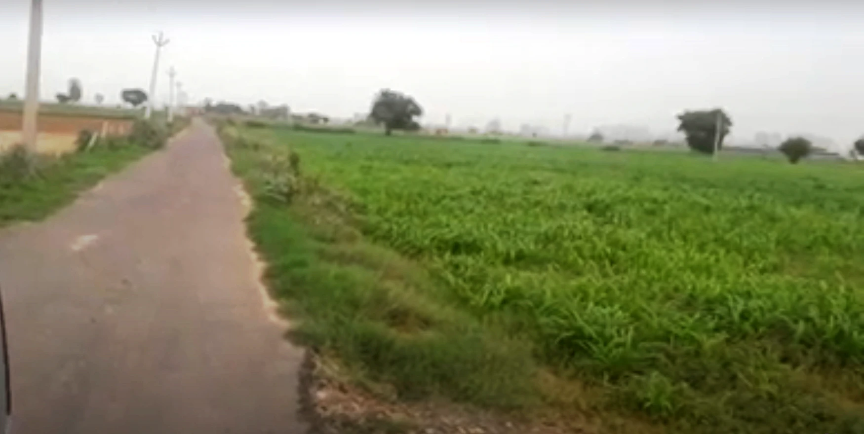 Gurugram, Haryana, India
